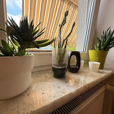 民宿 Chocisza Moonsky *