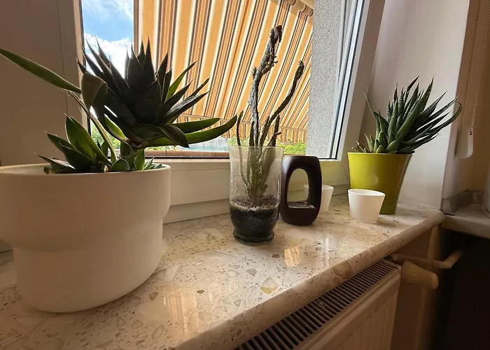 Homestay Chocisza Moonsky *